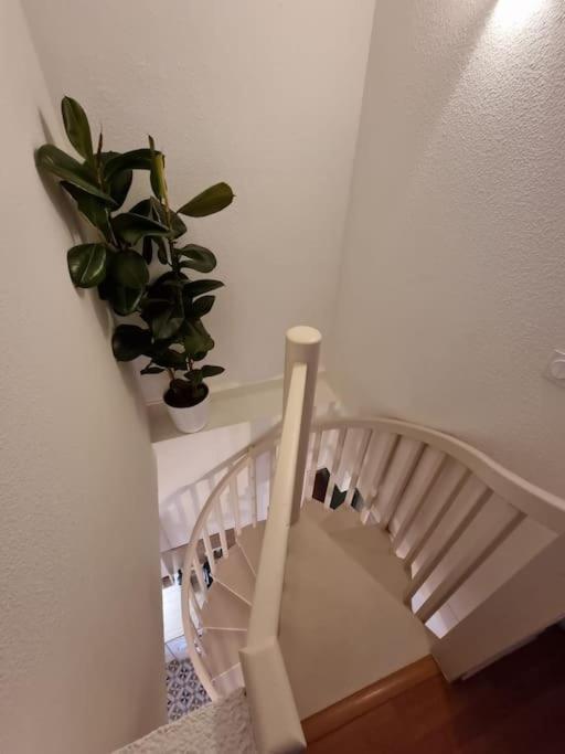 Le Dali-Duplex Au Pied De Castillet แปร์ปินญอง ภายนอก รูปภาพ